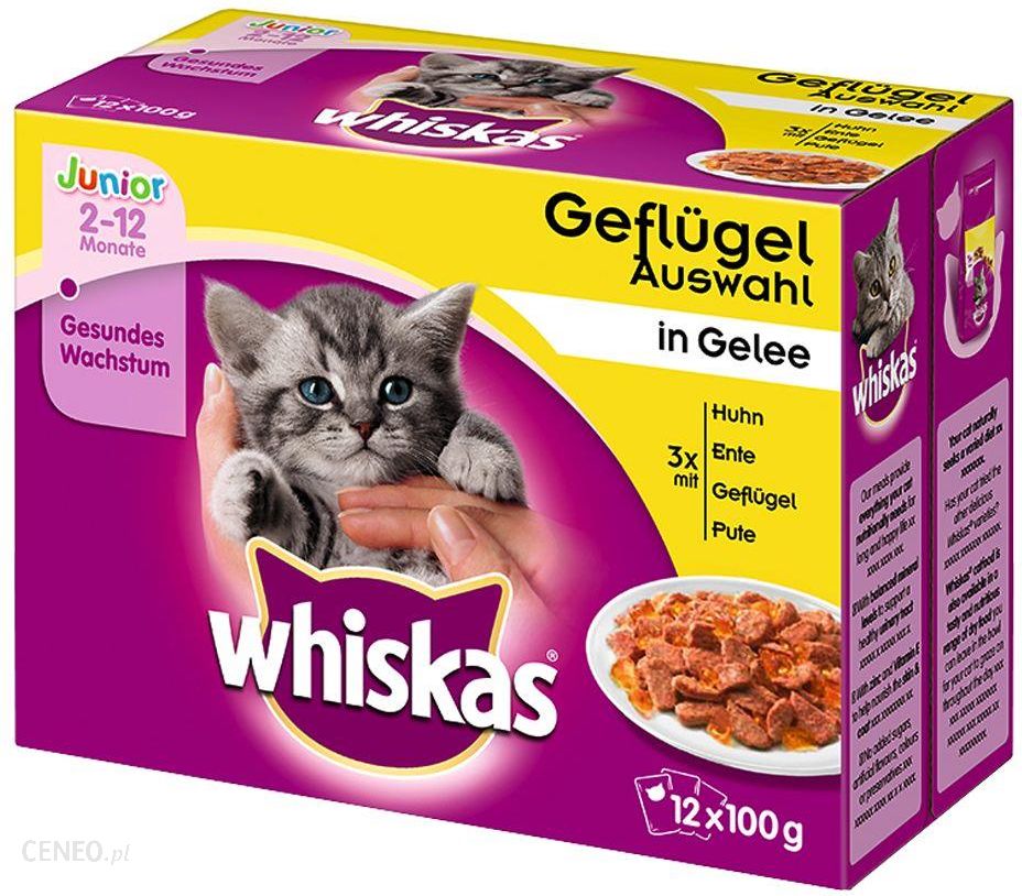 i-whiskas-junior-w-saszetkach-wybor-dan-miesnych-w-sosie-96x100g